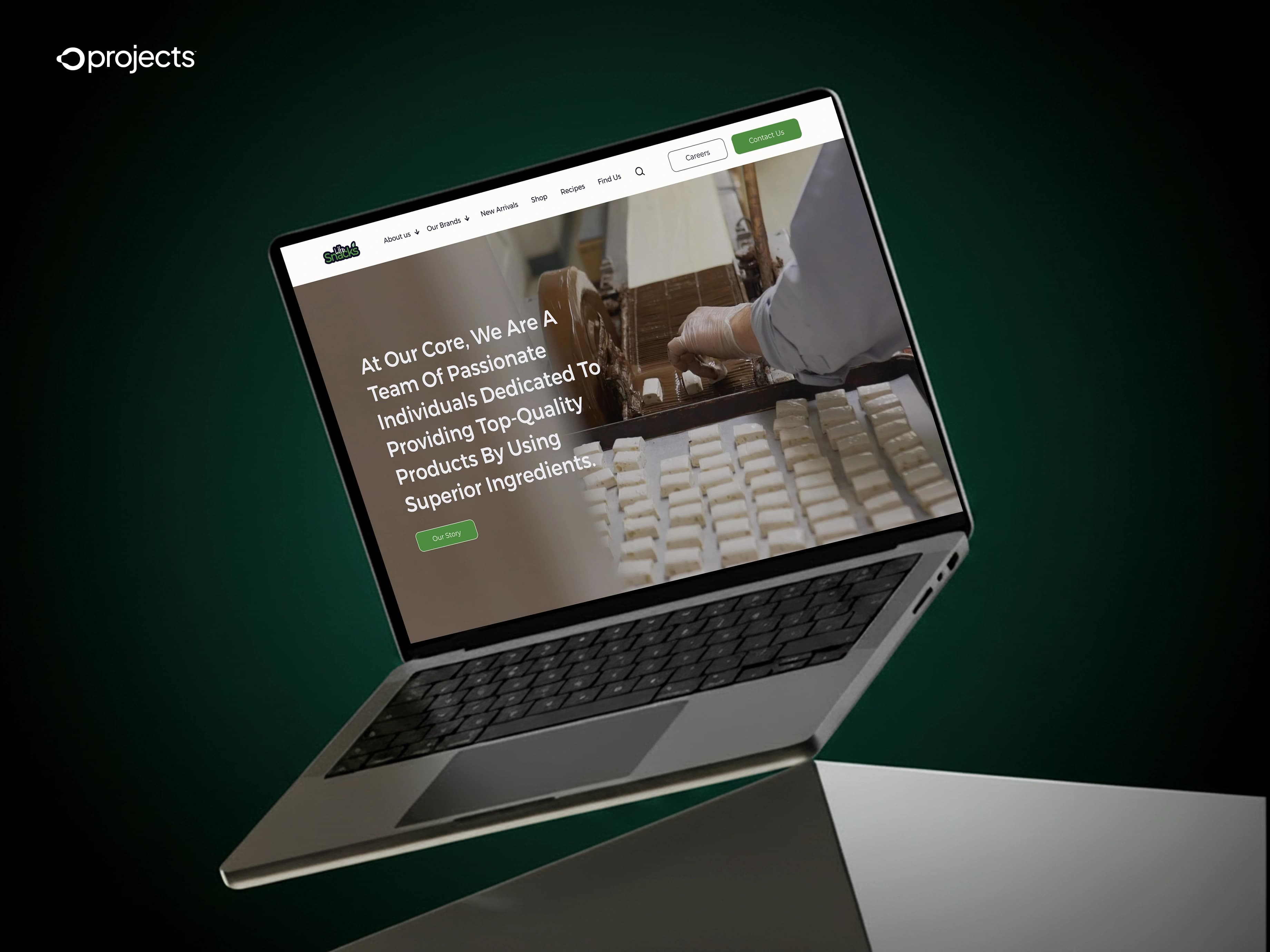 Life Snacks web project by O Projects